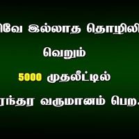 வருமான வாய்ப்பு உறுதியான வருமானம்