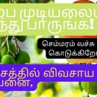 திருநெல்வேலி 6 லட்சத்தில் விவசாய நிலம் விற்பனை