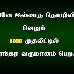 வருமான வாய்ப்பு உறுதியான வருமானம்