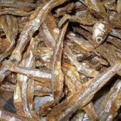 அனைத்து வகையான கருவாடுகளும் மொத்தமாக கிடைக்கும்