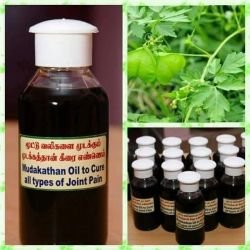 முடக்கத்தான் கீரை எண்ணெய் பயன்கள் 