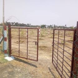 புதுப்பட்டினம் அருகே பண்ணை நிலம் விற்பனைக்கு  