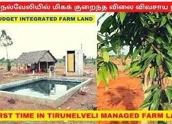 திருநெல்வேலியில் மிகக் குறைந்த விலை விவசாய நிலம்