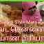Brahmin Traditional Cook with Catering Service. Delivery to Triplicane area-Maami mooligai samayal